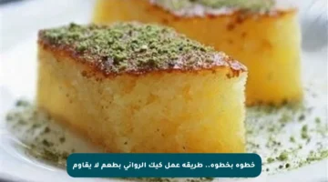 خطوة بخطوة.. طريقة عمل كيك الرواني بطعم لا يقاوم